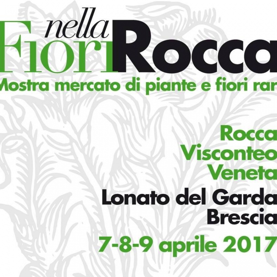 FIORI NELLA ROCCA 2017